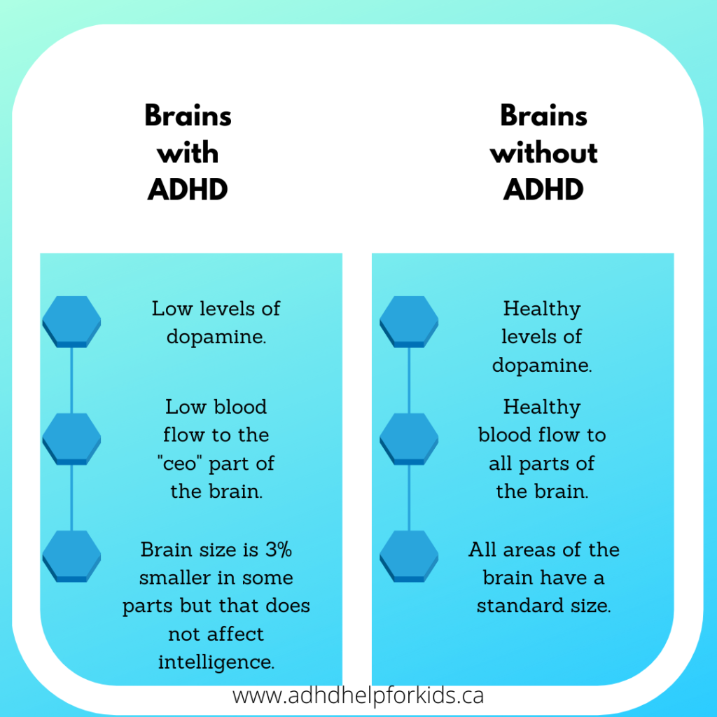 differences in brains with and without ADHD